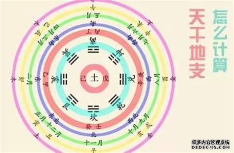 壬辰五行|壬辰年（干支纪年）